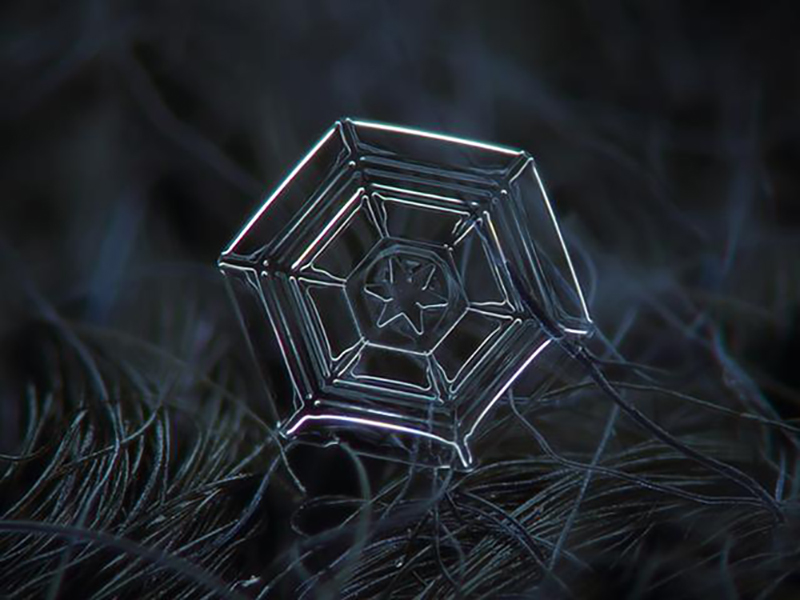 7snowflakes1213