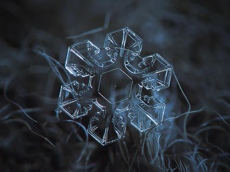 snowflakes1213