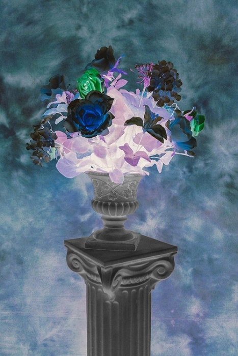 12_7_deadflower