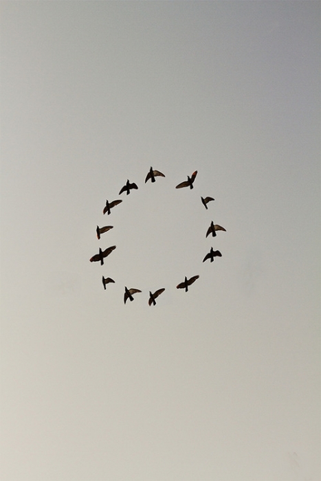 12_7_halos
